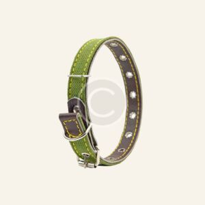 Green canvas dog collar